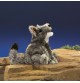 Peluche marionnette Petit Coyote signée Folkmanis dans le désert