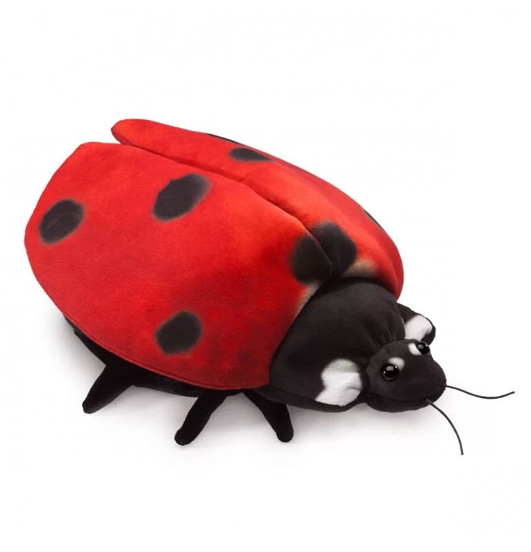 Peluche marionnette Métamorphose de la coccinelle