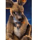 Gros plan sur peluche Kangourou Kango avec bébé signée Steiff