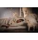 Jeune  fille dormant avec Peluches Soft Cuddly Friends licornes Unica signées Steiff