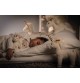 Enfant dormant avec Peluches Soft Cuddly Friends licorne Unica