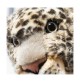 Peluche léopard Parddy - 36 cm signée Steiff, gros plan sur visage