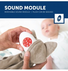 Manipulation du module sonore du Doudou bruit blanc Robin le raton laveur de la marque ZAZU