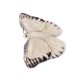 Peluche papillon WWF - 20 cm, vue de profil