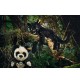 Peluche Panda Manschli de la marque Steiff dans la forêt avec la panthère Nero