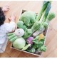 Ensemble de légumes dans un cageot de la marque MyuM