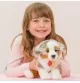 Jeune fille jouant avec Peluche chiot berger australien assis - 22 cm signée Teddy Hermann