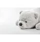 Peluche ours gris - 55 cm signée Lilla och stora björn, gros plan sur la tête