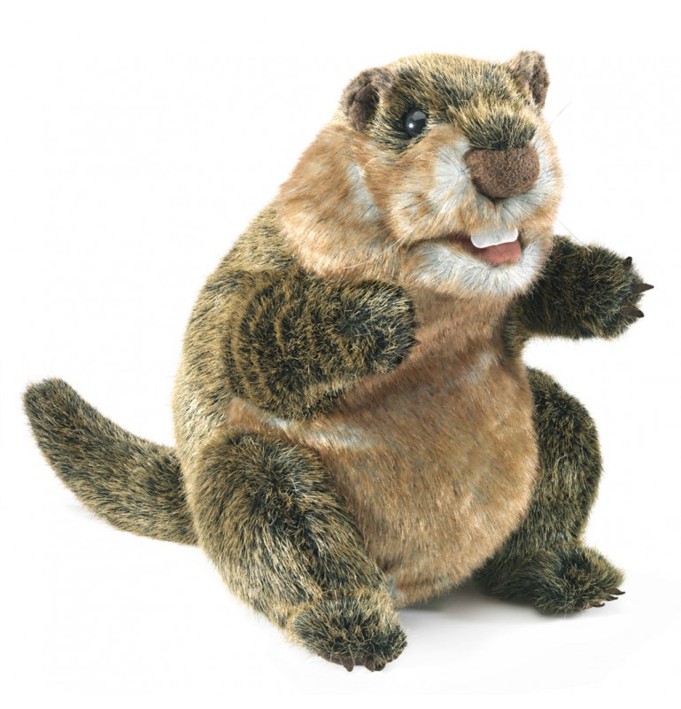 Peluche marionnette Marmotte Folkmanis 