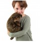 Jeune garçon avec Marionnette à main Marmotte dans les bras.