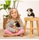 Jeune fille jouant avec Peluche bouvier bernois assis - 21 cm signée Teddy Hermann