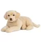 Peluche golden labrador - 60 cm signée Living Nature