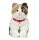 Peluche chat Scottish Fold - 40 cm signée Living Nature