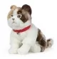 Peluche chat Scottish Fold - 40 cm signée Living Nature