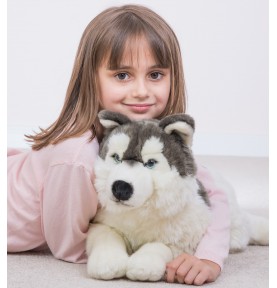 Jeune fille jouant avec Peluche chien Husky couché - 60 cm signée Teddy Hermann