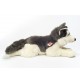 Peluche chien Husky couché - 60 cm signée Teddy Hermann, vue de profil