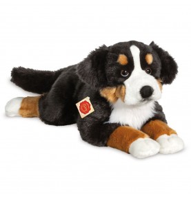 Peluche chien bouvier bernois couché - 60 cm signée Teddy Hermann